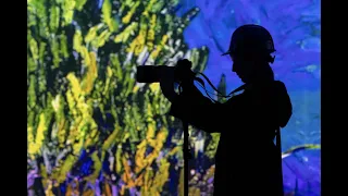 Immersive Van Gogh Charlotte Hard Hat Media Tour Preview