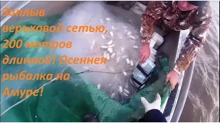 Осенняя рыбалка сетями, Рыбалка сплавными сетями