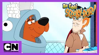 Wyluzuj, Scooby Doo! | Światła, kamera, akcja! | Cartoon Network