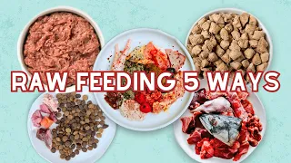 5 Ways To Start Raw Feeding Your Pet