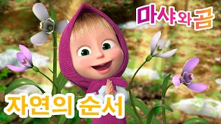 마샤와 곰 👱‍♀️🐻 🌿🍃 자연의 순서 🍂❄ 만화영화 모음집 👱‍♀️ Masha and the Bear