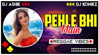 Pehle Bhi Main Reggae Vibes | Animal | DJ Ashik X DJ KoNiKz | Vxd Produxtionz