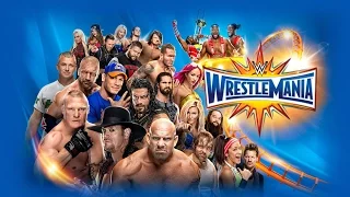 WWE 2K17 WrestleMania 33 The Undertaker vs Roman Reigns