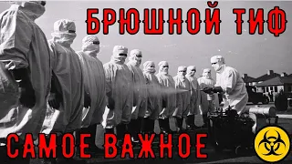 Брюшной тиф. Распространённость, заражение, профилактика.