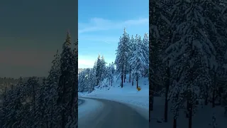 Winter Drive in Snowy South Lake Tahoe