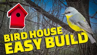 Easy to Make Bird House From Less Than $5 of Wood!