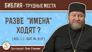 Разве "имена" ходят ? (Исх. 1:1)  Протоиерей Олег Стеняев