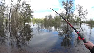 рыбалка на поплавок в апреле