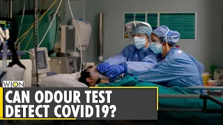 COVID-19: Is it really causing long-term effects on senses | Coronavirus symptoms | English News