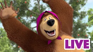 ماشا والدب 👱‍♀️ LIVE STREAM! 🤪👦 ذكاء 🤪👦 Masha and the Bear