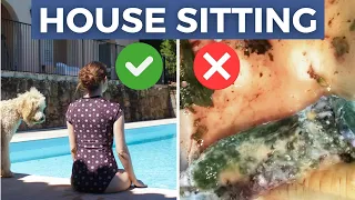 House Sitting PROS AND CONS: from a Paid House Sitter in Australia with 7 Years of Experience