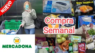 Mercadona 🛒 COMPRA Semanal ENERO 💶 PRECIOS 😲 Ideas RECETAS Rápidas 😉 Cómo AHORRAR en la COMPRA 2024💶