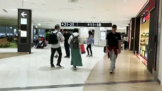 Virtual Walking Tour of Narita Airport Terminal 1