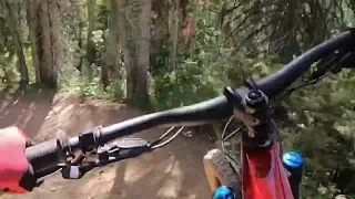 Deer Valley Bike Park - Twist and Shout (full pull)