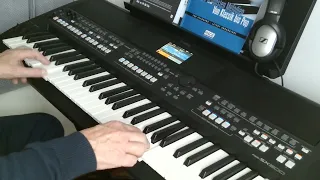 Blue Mountains cover by Henry, Yamaha PSR SX600