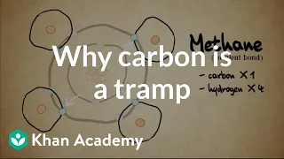 Why carbon is everywhere | Crash Course biology | Khan Academy