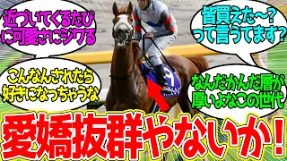 陽キャギャルっぽさがすごいテンハピちゃんに対するみんなの反応！【競馬 の反応集】