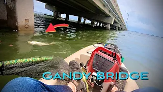 WHAT’S BITING at GANDY BRIDGE in Tampa Bay, Florida ⛈🎣