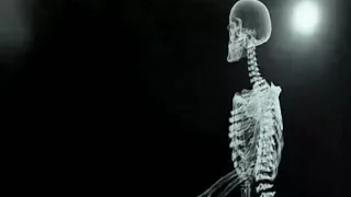 New technology teaches medical students anatomy - Johns Hopkins University