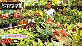 Indoor Plants Price In Foysal Nursery | ইনডোর প্ল্যান্টের দাম ও যত্ন | Gardening Bangladesh