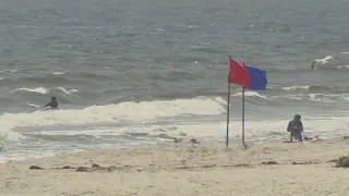 More Sharks Spotted Near Long Island Beaches