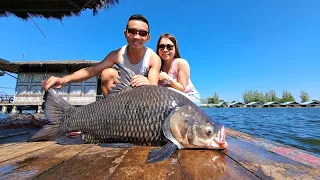 Mekong Catfish & Siamese Carp Fishing Thailand 2023- BKKGUY