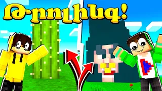 Արեցի Թրոլինգ Պիլիին? Ինքը Շոկի մեջա! Minecraft Hayeren