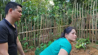 Single mother, gardening and cultivating taro.  Then the colon appeared.