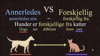 Annerledes VS. Forskjellig - Norwegian Language: Bokmål