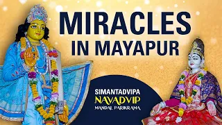 Miracles in Mayapur | Simantadvipa | Episode 4 | Navadvipa Mandal Parikrama