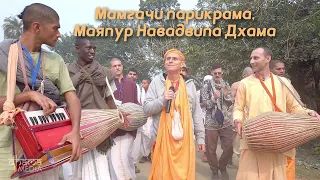 Мамгачи, Маяпур Навадвипа Дхама парикрама 19.01.2020 (Rus)