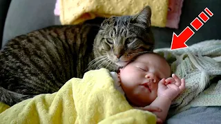 The cat found an abandoned child. What she did to the baby will shock you!