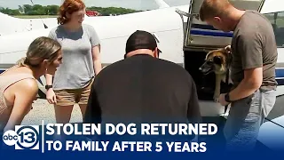 Stolen dog reunited with family after 5 years