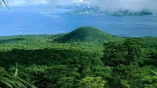 National Geographic - Secret's Of The Mediterranean Rain Forest New Documentary