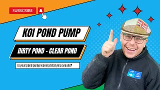 Clear Your Koi Pool: Essential Koi Pond Pump Exchange