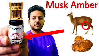 Musk Amber | मुश्क अम्बर इत्र