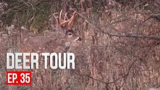 CRAZY RUTTING FOOTAGE, Intense Deer Vocalizations - DEER TOUR E35