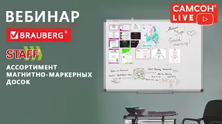 Ассортимент магнитно-маркерных досок BRAUBERG,STAFF: обзор новинок, отличия серий