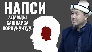 НАПСИ АДАМДЫ БАШКАРСА КОРКУНУЧТУУ!!!