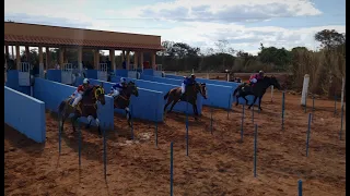 HIPÓDROMO - IVONETE GUEDES - 2023 - Corridas de cavalos