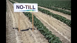 Адаптация технологии No-till возделывания полевых культур в лесостепи Южного Зауралья