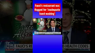 Jesse Watters: It sounds like Papi was a little sloppy #shorts