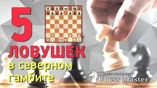 Шахматы. 5 дебютных ловушек в Северном гамбите за белых