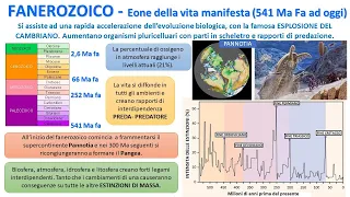 IL FANEROZICO - Da 541 a 2,6 milioni di anni fa.