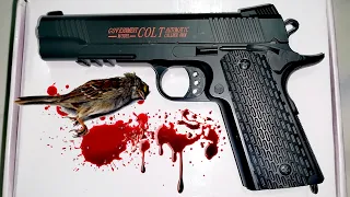 TOY GUN |Airsoft pistol C.10A unboxing and review [spring type airsoft]