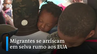 Rumo aos EUA, migrantes se arriscam na selva entre Colômbia e Panamá