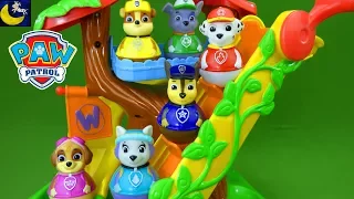 Paw Patrol Weebles Treehouse Playset Everest Animal Rescue Episode Funny Toy Story Videos for Kids