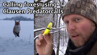 Clausen Predatorcalls  The ultimate foxcall!