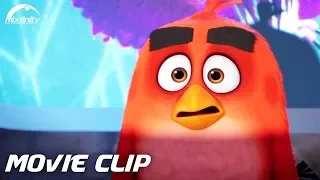 The Angry Birds Movie 2 Movie Clip "Super Secret Meeting" (2019) HD | Mixfinity International