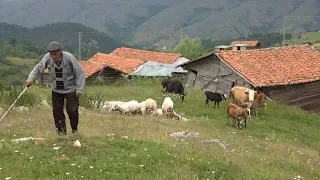 Wandering in the mountains on 91 years old shepherd - Documentary